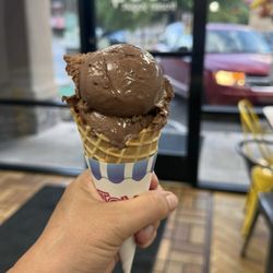 TCBY Pinetree Square - Chocolate ice cream in a small waffle cone