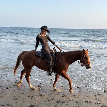 Santa Barbra Beach Rides - Horseback Riding Near Me - Carpinteria, California Santa Barbra Beach Rides - Horseback Riding Near Me - Carpinteria, California