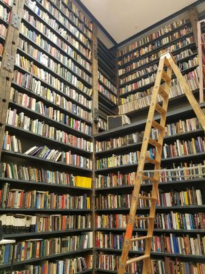 Stony Island Arts Bank by null