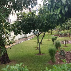 Parque Figueroa - Los granizos
