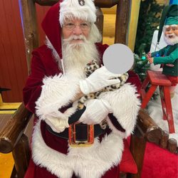 Bass Pro Shops - Santa