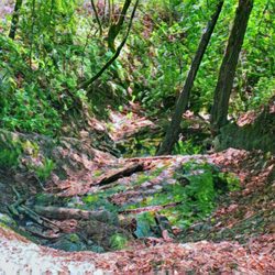 Oursan Trail - Oursan Trail