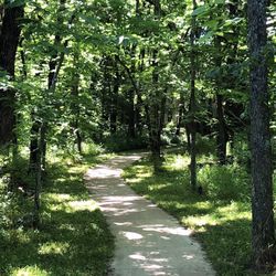 Tomahawk Valley Park - One of the Park Access Paths