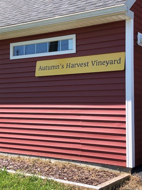 Autumn’s Harvest Vineyard - vineyard in Cambridge, NY