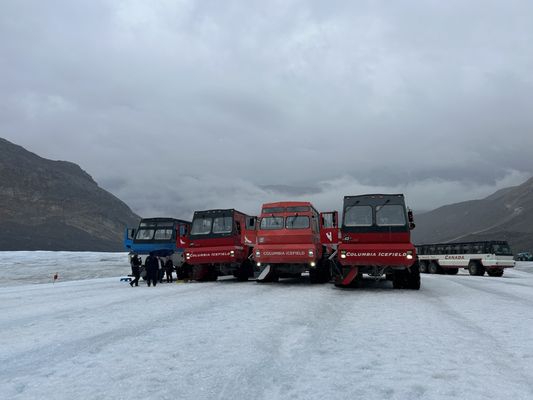Columbia Icefield by null