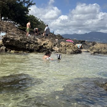 Shark's Cove - some shallow parts of the cove; still can see lots of fish - Beaches Near Me - Haleiwa, Hawaii Shark's Cove - some shallow parts of the cove; still can see lots of fish - Beaches Near Me - Haleiwa, Hawaii
