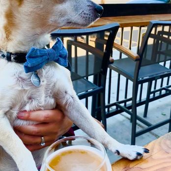 Able Baker Brewing - Carlos loves people watching on the patio at Able Baker! - Brewpubs Near Me - Las Vegas, Nevada