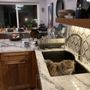 Photo of Kitchensync