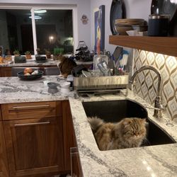 Kitchensync