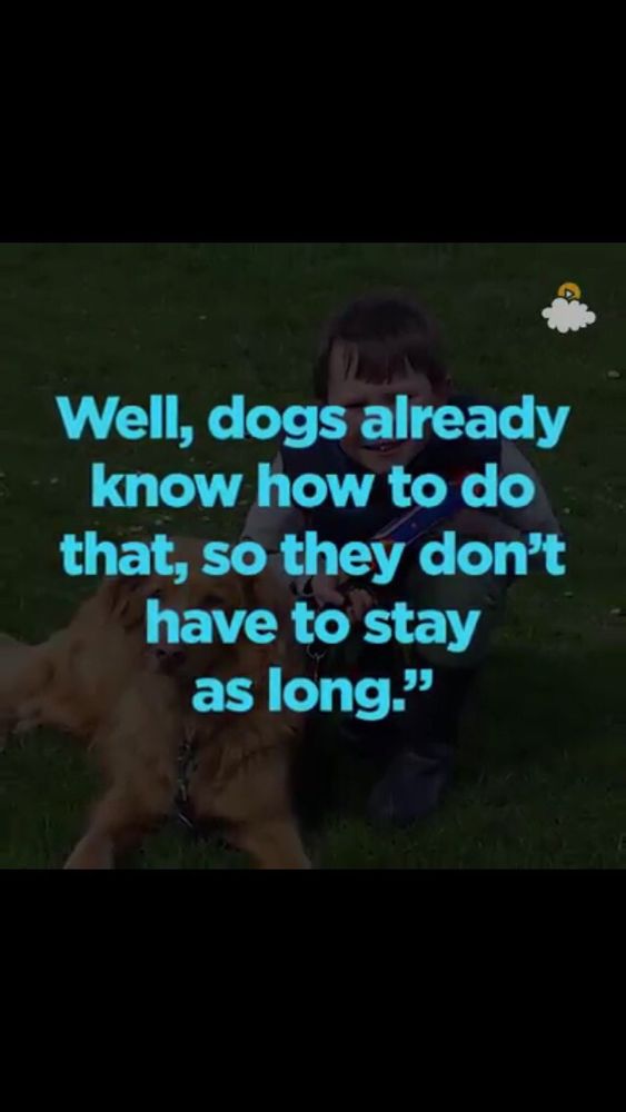 LOVING PETS CREMATORY Updated August 2024 8621 Sanford Dr, Richmond