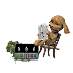 Sitting Comfortably Pet Care