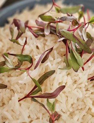 Naan & Curry (Southwest) by null