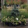 Photo of Harmony Gardens