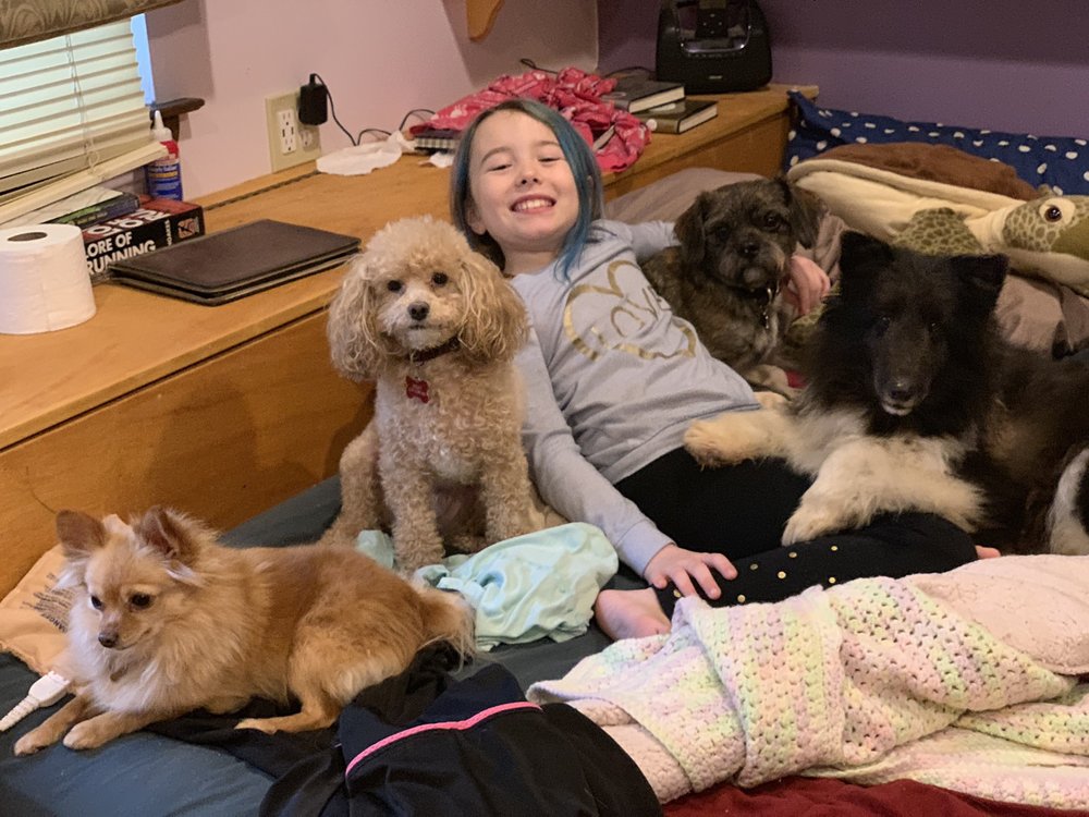 NEW LIFE ANIMAL RESCUE Updated October 2024 20 Photos Marlton