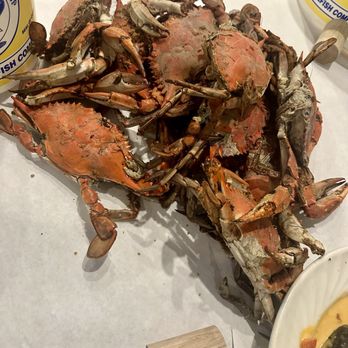 Quarterdeck - Medium dozen crabs - Seafood Near Me - Arlington, Virginia Quarterdeck - Medium dozen crabs - Seafood Near Me - Arlington, Virginia