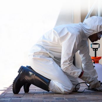 Pointsource Pest Control - Pest Control Near Me - Loganville, Georgia Pointsource Pest Control - Pest Control Near Me - Loganville, Georgia