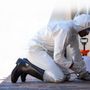 Photo of Pointsource Pest Control