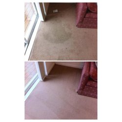 Elite Carpet & Upholstery Care