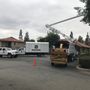 Photo of HLS Tree Service