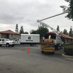 HLS Tree Service - Tree service and removal