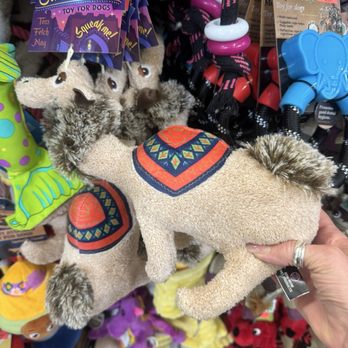 Ollie's Bargain Outlet - Dog toys - some I have never seen before 2.26.26 - Discount Store Near Me - College Station, Texas Ollie's Bargain Outlet - Dog toys - some I have never seen before 2.26.26 - Discount Store Near Me - College Station, Texas