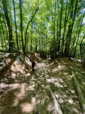Deep Creek Trail Trailhead by null