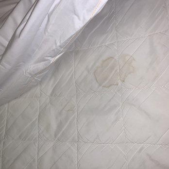 Motel 6 - Stain on bed cover - Hotels Near Me - Willows, California