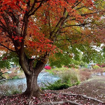 Lakewood Park - Parks Near Me - Eugene, Oregon Lakewood Park - Parks Near Me - Eugene, Oregon