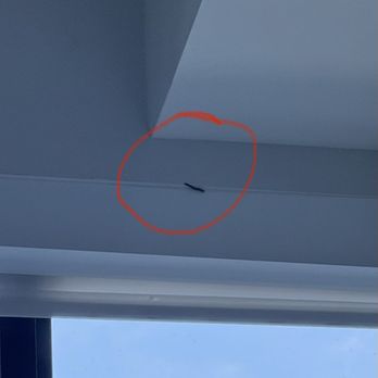 Leksa at CityPlace - Another day, another worm. - Apartments Near Me - Doral, Florida