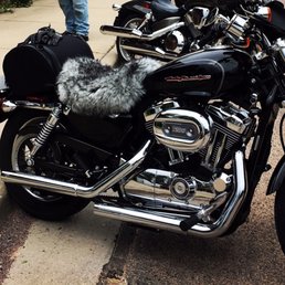 Sheepskin seat cover Thanks @Wild Things Fur Sheepskin seat cover Thanks @Wild Things Fur