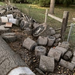 Canby Firewood sales & Fallen Tree Removal - A very amazing woman and friend now MJ from out in canby area gave me all this wood ! Could not of done it with out her donation