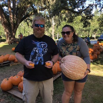 First Methodist Church - Great Pumpkin Patch!  All pumpkins $5 between 2-6pm. - Churches Near Me - Oviedo, Florida