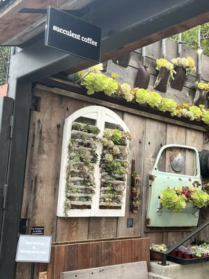 Succulent Coffee by null