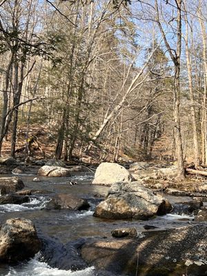 Harriman State Park by null