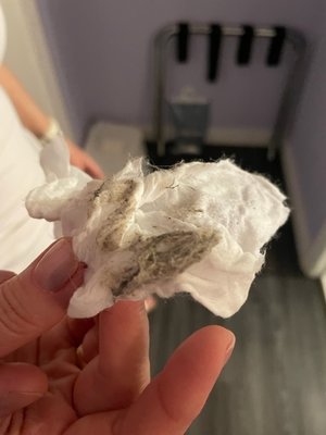 M Boutique Hotel by null