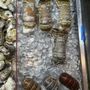 La Cueva Del Mar