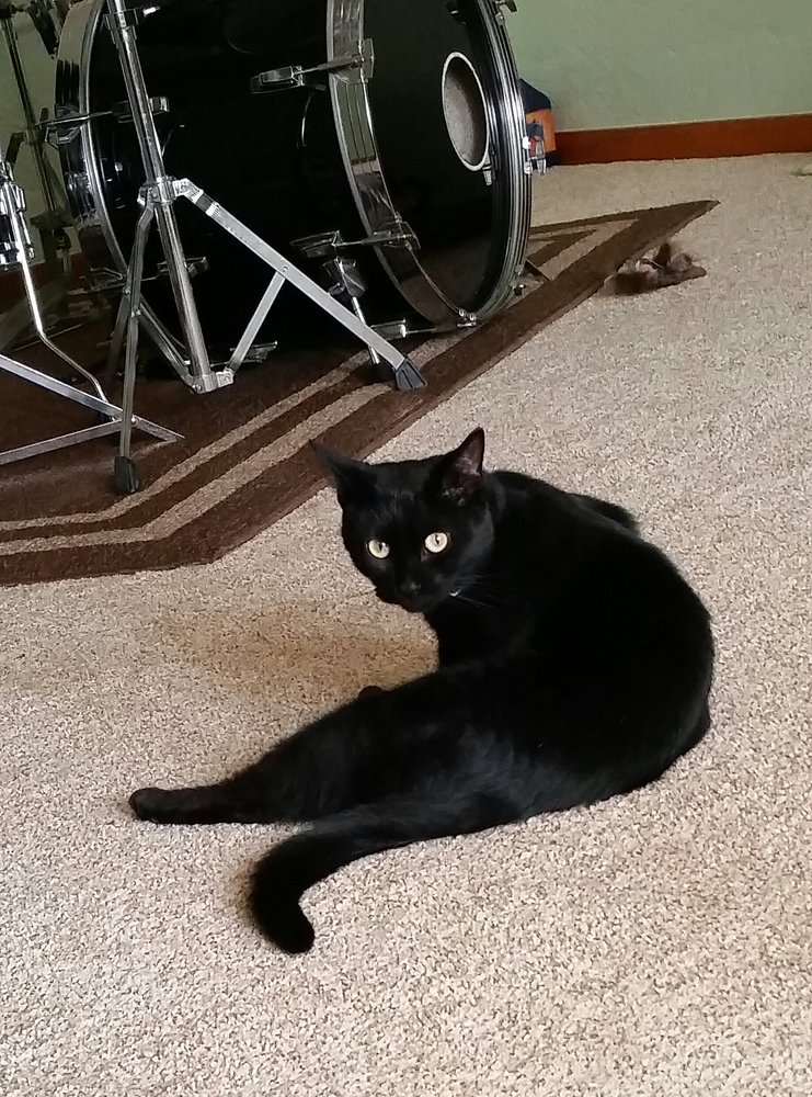 PITTSBURGH EAST ANIMAL HOSPITAL Updated October 2024 30 Photos