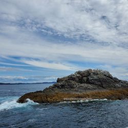 Fullers GreatSights Bay Of Islands