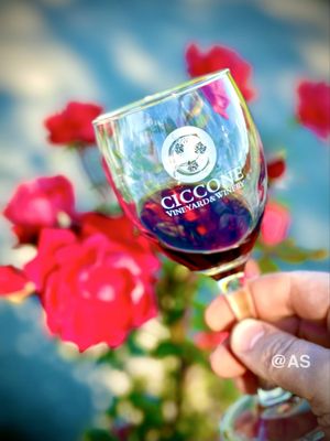 Ciccone Vineyard & Winery