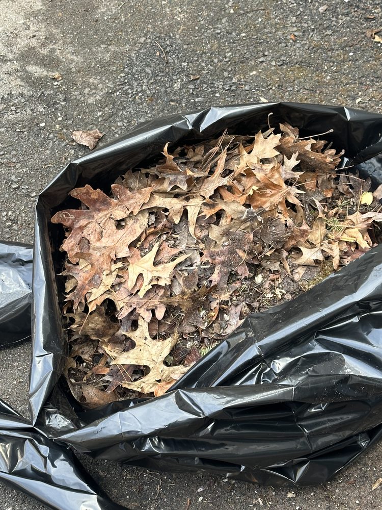 Slide of Clean Drain