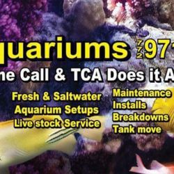 TCAquariums