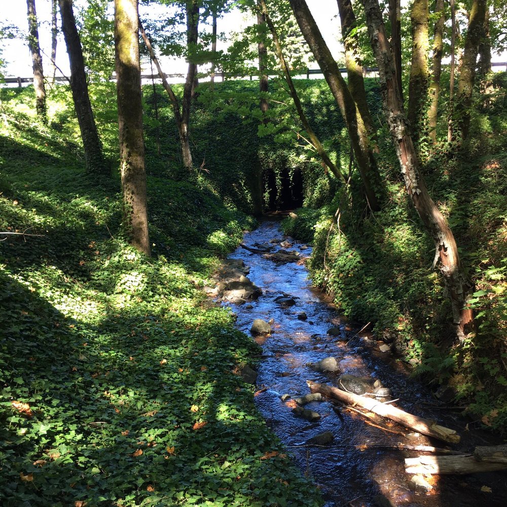 Starvation Creek State Park - Magical... - Hiking Near Me - Cascade Locks, Oregon Starvation Creek State Park - Magical... - Hiking Near Me - Cascade Locks, Oregon