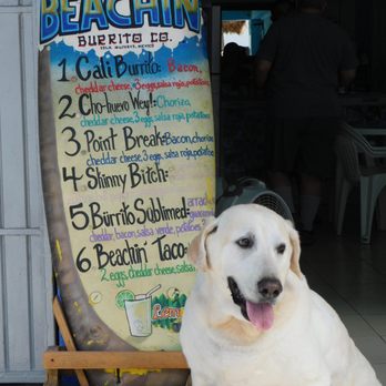 Beachin’ Burrito - You might just meet "O.G." if you stop by...who doesn't love dogs & Burritos?? - Mexican Near Me - Isla Mujeres, ROO