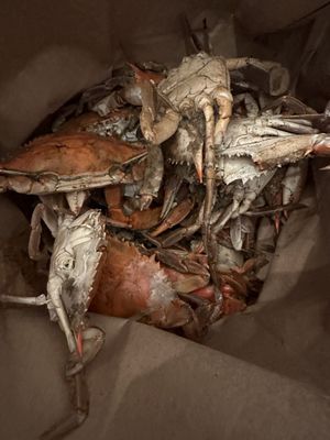 Hooper's Crab House by null