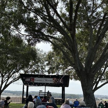 Lakeridge Winery & Vineyards - Wineries Near Me - Clermont, Florida Lakeridge Winery & Vineyards - Wineries Near Me - Clermont, Florida