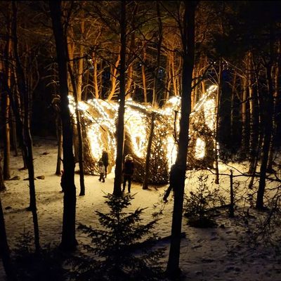 The Wild Center by null