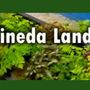 Photo of F Pineda Landscaping