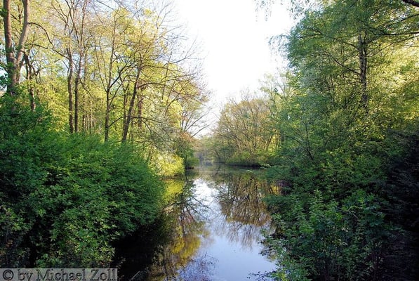 Tiergarten by null