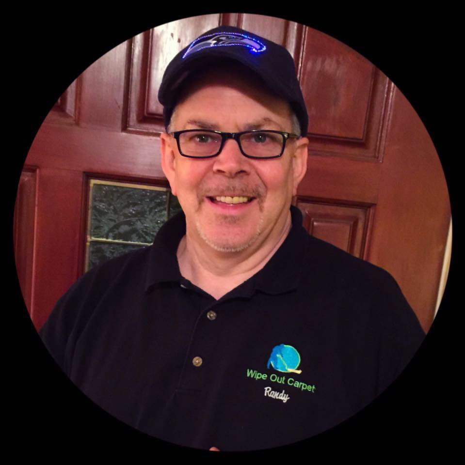 WIPE OUT CARPET & UPHOLSTERY Updated October 2024 14 Photos 9427