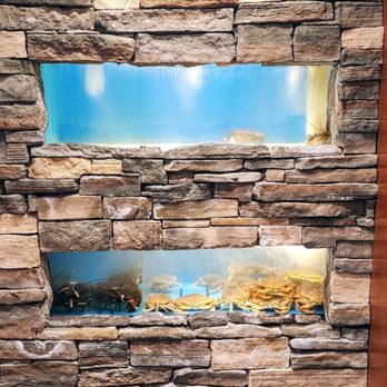 Kirin Seafood Restaurant - Interior - Seafood Near Me - Richmond, British Columbia Kirin Seafood Restaurant - Interior - Seafood Near Me - Richmond, British Columbia